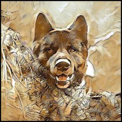 Picture of American Akita-Hairy Styles Mug