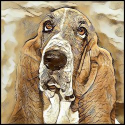 Picture of Bassett Hound-Hairy Styles Mug