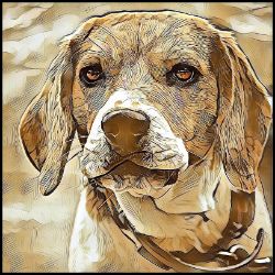 Picture of Beagle-Hairy Styles Mug