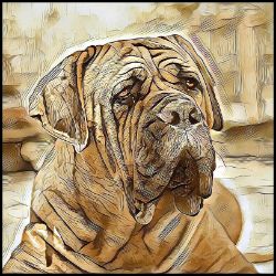 Picture of Boerboel-Hairy Styles Mug