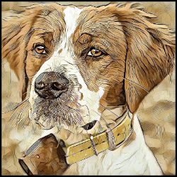 Picture of Brittany Spaniel-Hairy Styles Mug