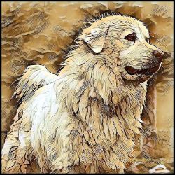 Picture of Great Pyrenees-Hairy Styles Mug