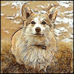 Picture of Pembroke Welsh Corgi-Hairy Styles Mug