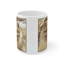 Picture of Pomeranian-Hairy Styles Mug