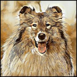 Picture of Rough Collie-Hairy Styles Mug
