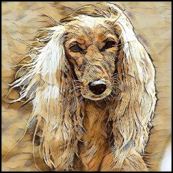 Picture of Saluki-Hairy Styles Mug