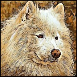 Picture of Samoyed-Hairy Styles Mug