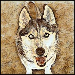 Picture of Siberian Husky-Hairy Styles Mug
