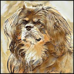 Picture of Tibetan Spaniel-Hairy Styles Mug