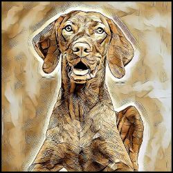 Picture of Vizsla-Hairy Styles Mug