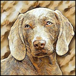 Picture of Weimaraner-Hairy Styles Mug