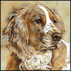 Picture of Welsh Springer Spaniel-Hairy Styles Mug