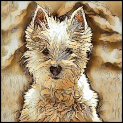 Picture of West Highland Terrier-Hairy Styles Mug