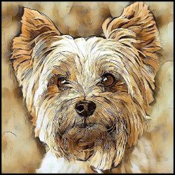 Picture of Yorkshire Terrier-Hairy Styles Mug