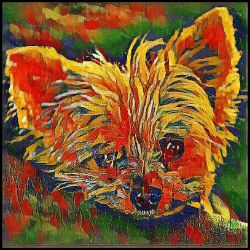 Picture of Australian Terrier-Garden Veggie Mug