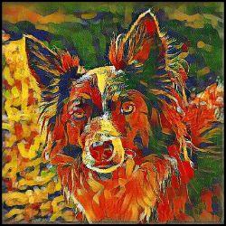 Picture of Border Collie-Garden Veggie Mug