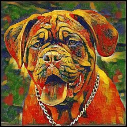 Picture of Dogue de Bordeux-Garden Veggie Mug