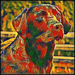 Picture of Labrador Retriever-Garden Veggie Mug