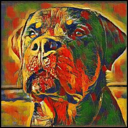 Picture of Rottweiler-Garden Veggie Mug