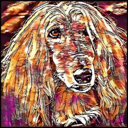 Picture of Afghan Hound-Hipster Mug