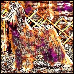 Picture of Briard-Hipster Mug