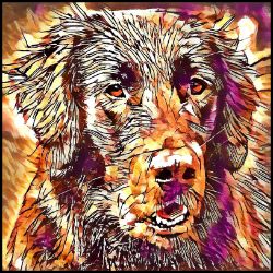 Picture of Flat Coated Retriever-Hipster Mug