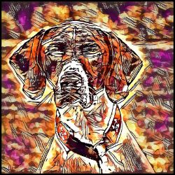 Picture of German Shorthaired Pointer-Hipster Mug