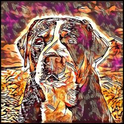 Picture of Greater Swiss Mountain Dog-Hipster Mug