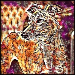 Picture of Greyhound-Hipster Mug