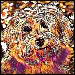 Picture of Havanese-Hipster Mug