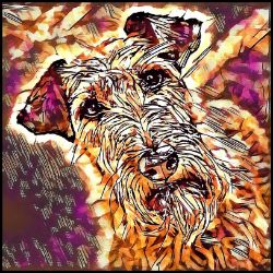 Picture of Irish Terrier-Hipster Mug