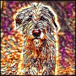 Picture of Irish Wolfhound-Hipster Mug