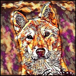 Picture of Jindo-Hipster Mug