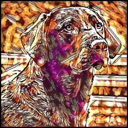 Picture of Labrador Retriever-Hipster Mug