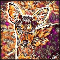 Picture of Miniature Pinscher-Hipster Mug