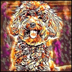 Picture of Miniature Poodle-Hipster Mug