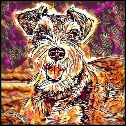 Picture of Miniature Schnauzer-Hipster Mug