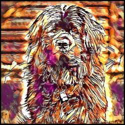 Picture of Newfoundland-Hipster Mug