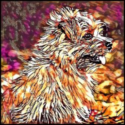 Picture of Norfolk Terrier-Hipster Mug