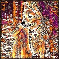 Picture of Norwegian Buhund-Hipster Mug