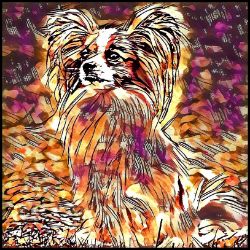 Picture of Papillon-Hipster Mug