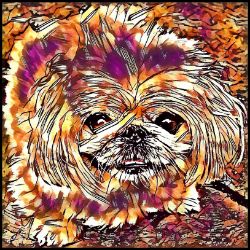 Picture of Pekingese-Hipster Mug