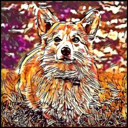 Picture of Pembroke Welsh Corgi-Hipster Mug