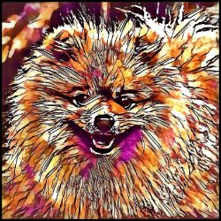 Picture of Pomeranian-Hipster Mug