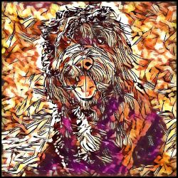 Picture of Portuguese Water Dog-Hipster Mug