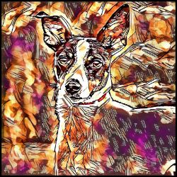 Picture of Rat Terrier-Hipster Mug