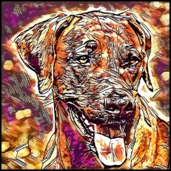 Picture of Rhodesian Ridgeback-Hipster Mug