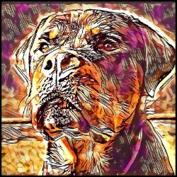 Picture of Rottweiler-Hipster Mug