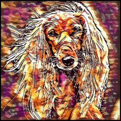 Picture of Saluki-Hipster Mug