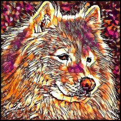 Picture of Samoyed-Hipster Mug